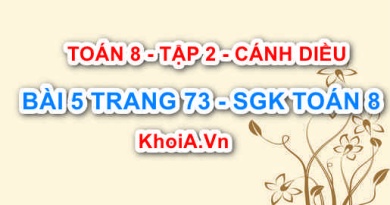 Bài 5 trang 73 Toán 8 Cánh Diều Tập 2